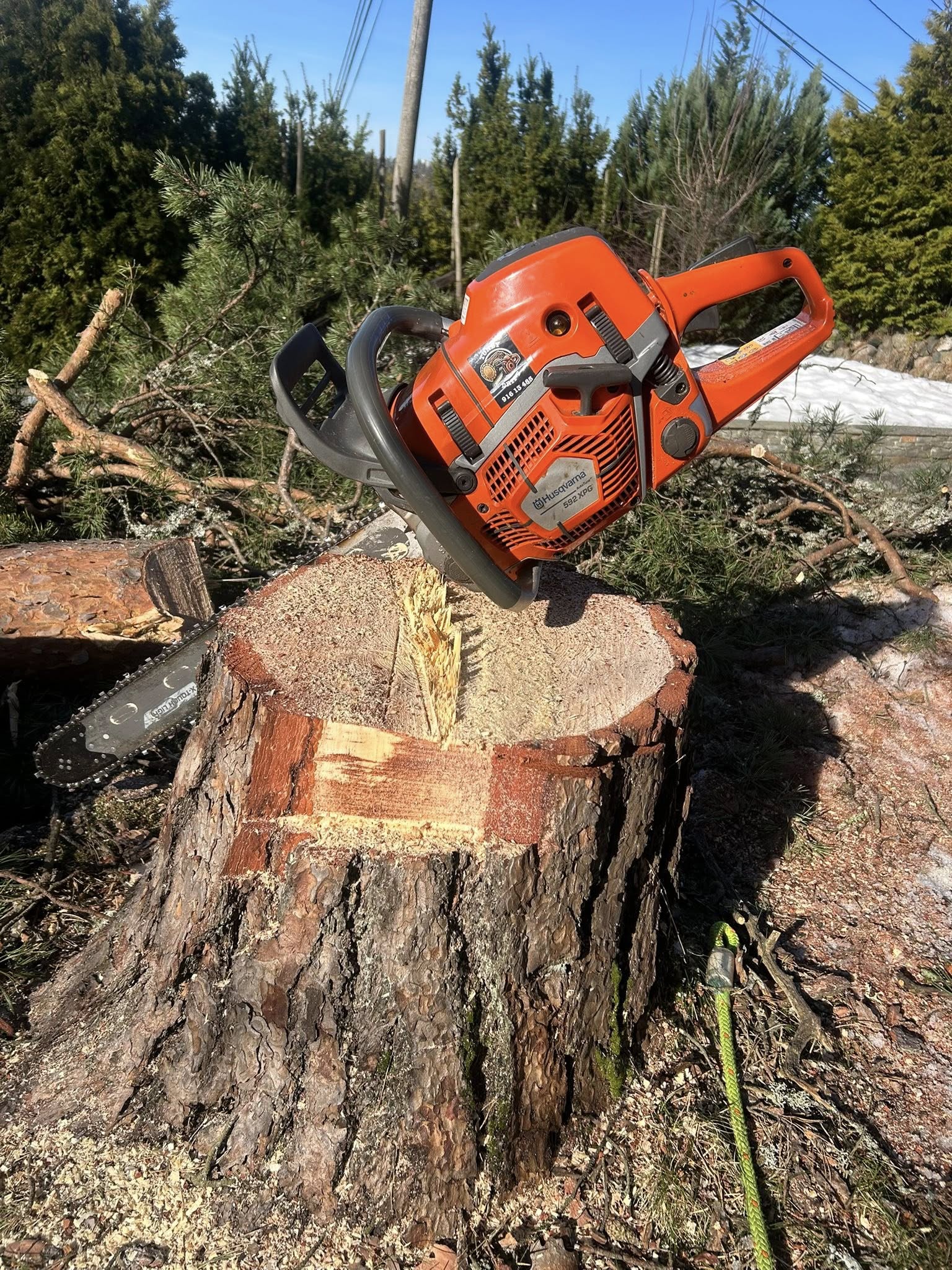 Stubbefresing